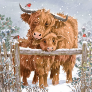Winter Cattle